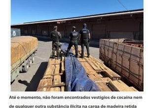 carga madeira suspeita cocaina