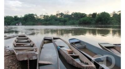 estudo liberacao novas especies peixes