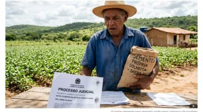 produtor rural sementes royalties