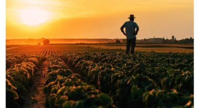 produtor rural sorisso intimado